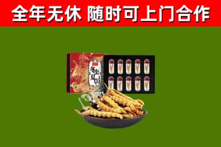 友好区回收冬虫夏草价格